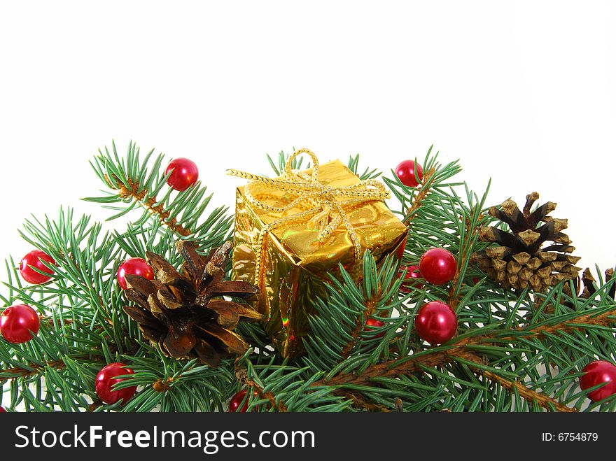 Gold gift in green branch of tree with cones on the white background. Gold gift in green branch of tree with cones on the white background