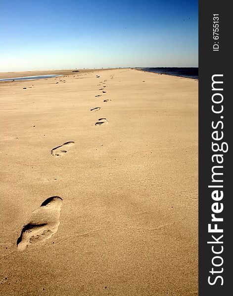 Footprints in the sand on the beach