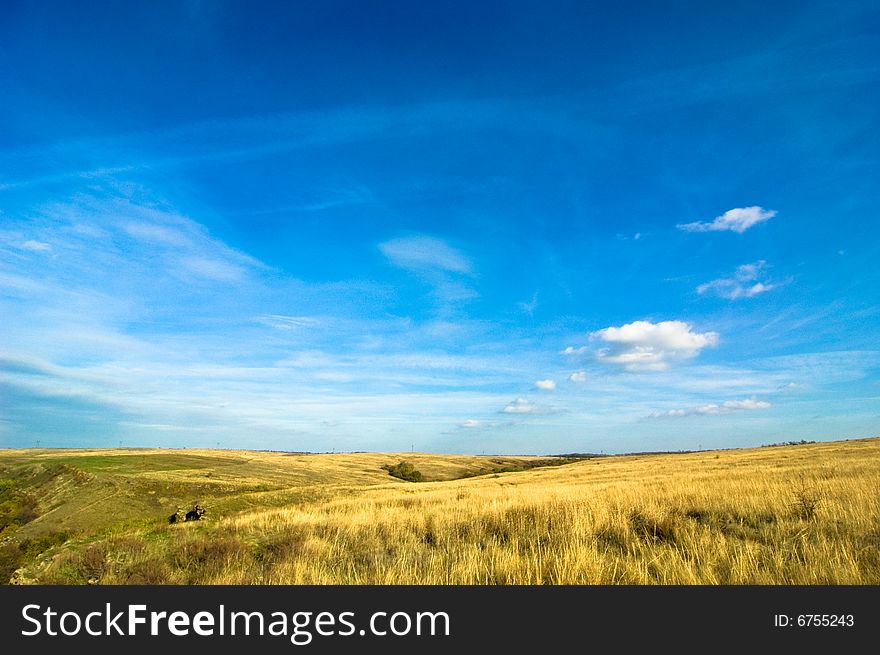 Idyllic landscape 
blue sky and yellow grass
