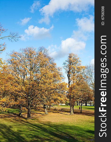 Scenic Tree In Autumn Scene
