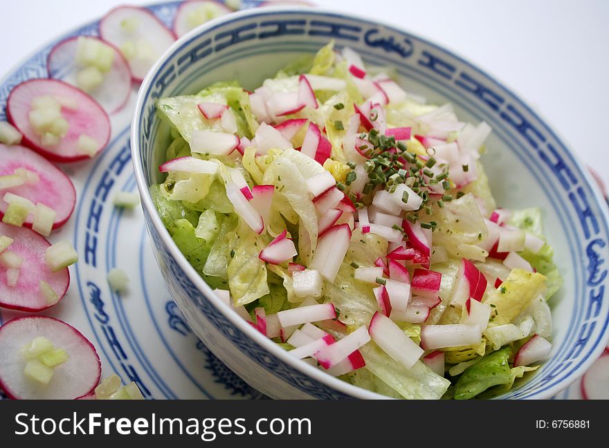 A fresh salad of green salad and red radish
