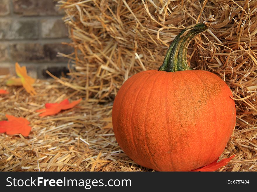 A mystic pumpkin on Hay with Fall leaves. A mystic pumpkin on Hay with Fall leaves