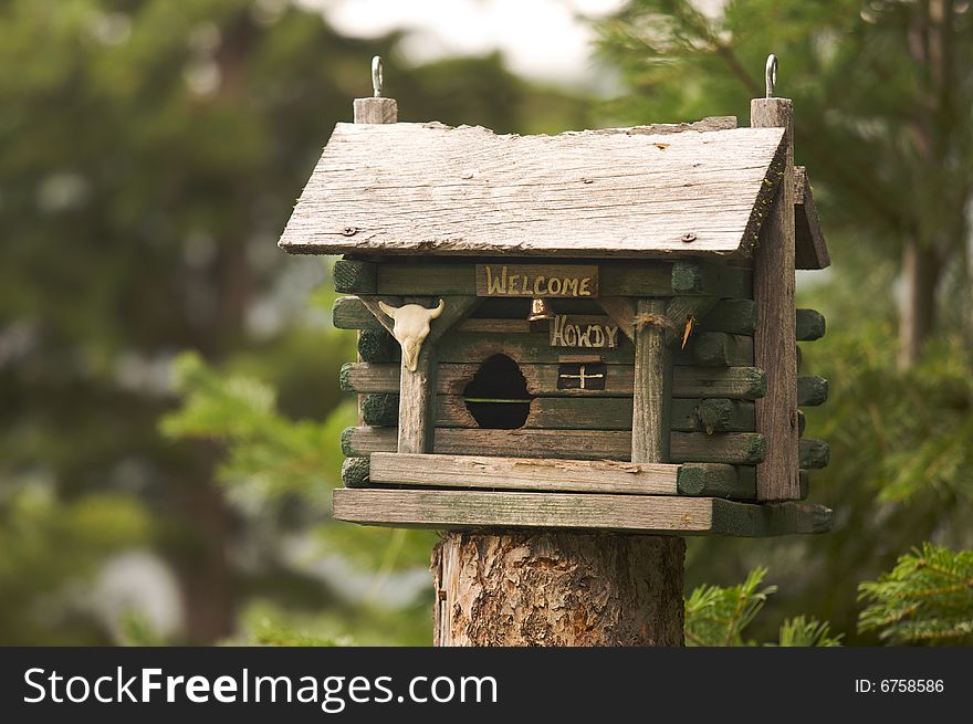 Rustic Birdhouse Amongst Pine Trees