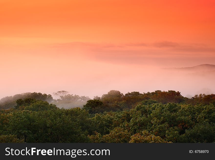 Foggy (hazy) forest scenery and early scarlet sunrise. Foggy (hazy) forest scenery and early scarlet sunrise.