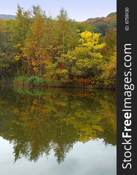 Autumn forest and lake scenery - bright nature landscape. Autumn forest and lake scenery - bright nature landscape.