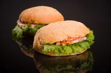 Two Hamburger Royalty Free Stock Photos Two Hamburger Royalty Free Stock Photos