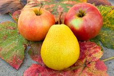 Two Apples And Pear Stock Photography Two Apples And Pear Stock Photography