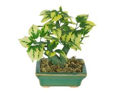 Artificial Plant Royalty Free Stock Image Artificial Plant Royalty Free Stock Image