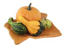 Fall Arrangement Royalty Free Stock Photography Fall Arrangement Royalty Free Stock Photography
