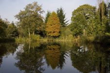 Autumn Reflections Stock Images Autumn Reflections Stock Images