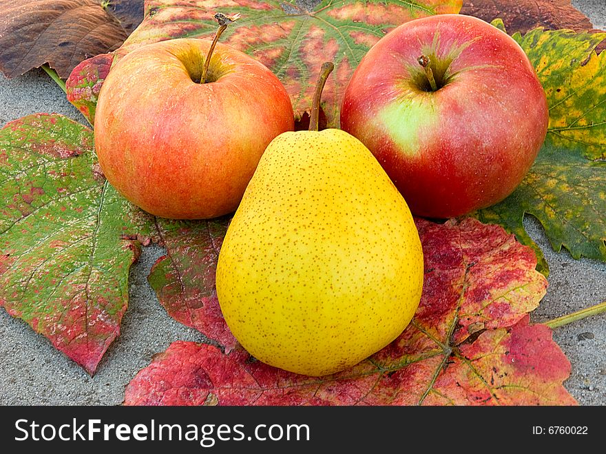 Two Apples And Pear