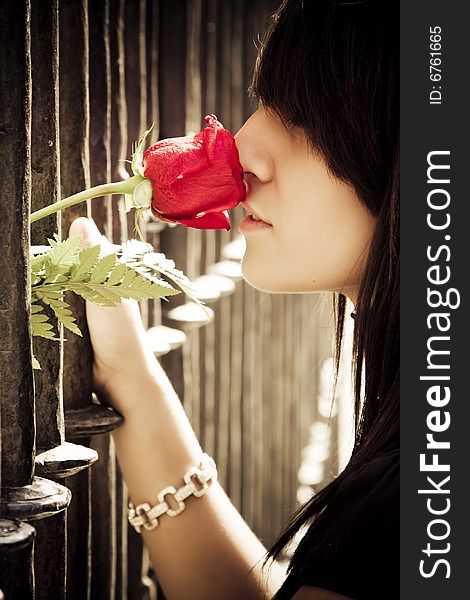 Young anonymous woman smelling a red rose behind metal fence. Young anonymous woman smelling a red rose behind metal fence.