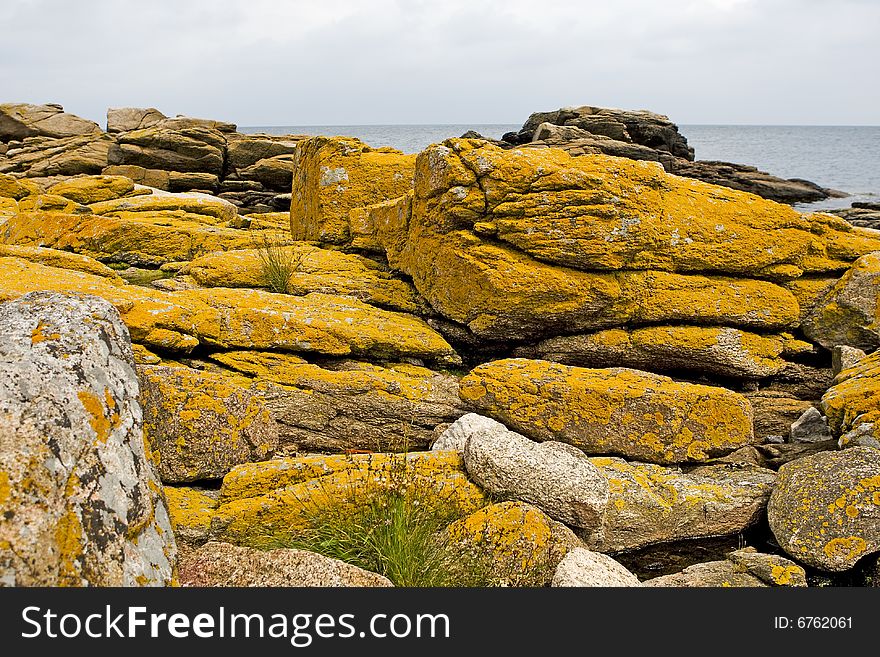Stony coast at the Baltic Sea, Bornholm, Denmark, yellow big stones yield an interesting color