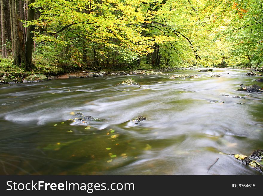 Moving river and autumn trees. Moving river and autumn trees