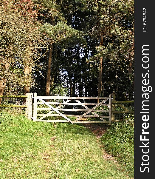 Five Bar Gate From Field To Woods