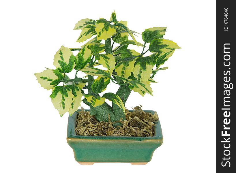 Artifical plant in a pot. Artifical plant in a pot