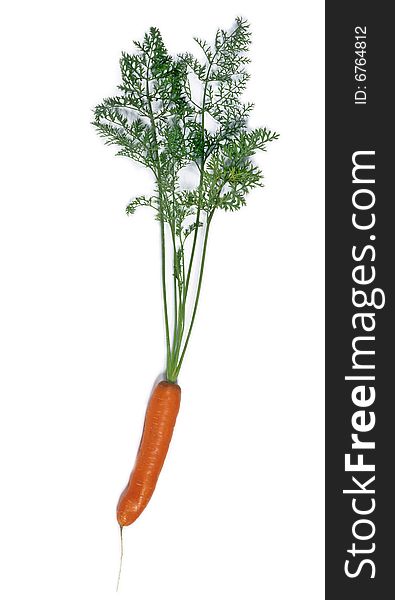 Fresh carrot isolated on white