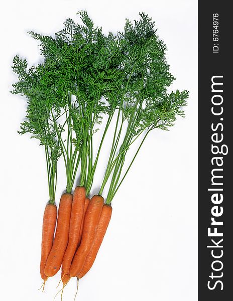 Bunch of carrots isolated on white