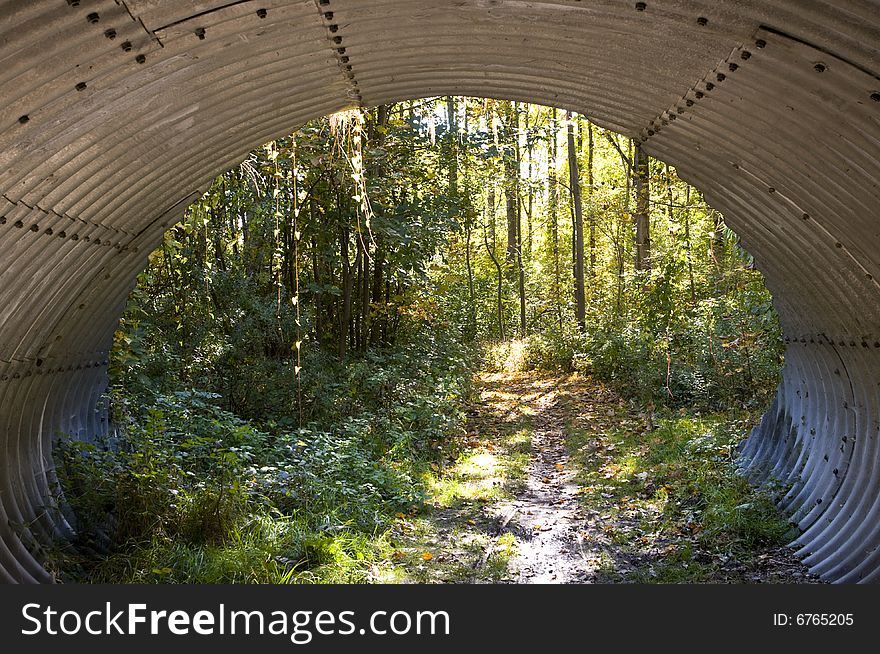 View through an undercrossing. The footpath leads through a light, deciduous forest, with the colours of beginning autumn. View through an undercrossing. The footpath leads through a light, deciduous forest, with the colours of beginning autumn