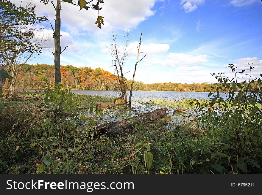 Sand lake in nthe fall looking west in chain o' lakes state park indiana