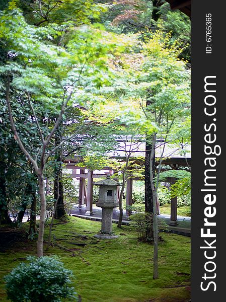 Japanese Garden with Stone Lantern