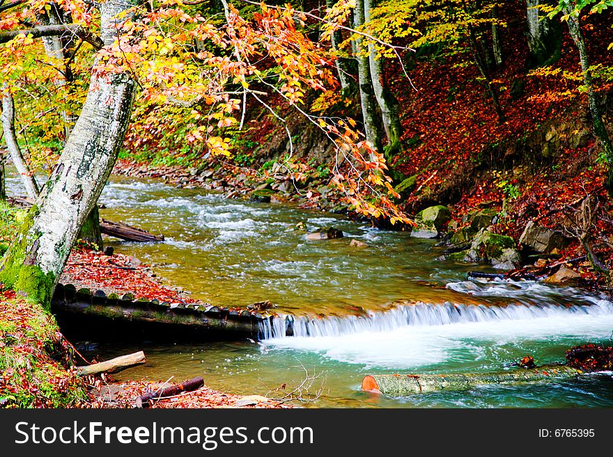 Autumn River