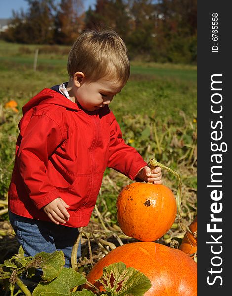 A toddler boy in a red coat, holding a pumpkin in a green field. A toddler boy in a red coat, holding a pumpkin in a green field.
