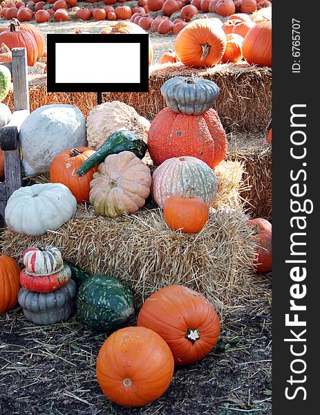 Many different kinds of pumkins sit among some hay with a blank sign. Many different kinds of pumkins sit among some hay with a blank sign.