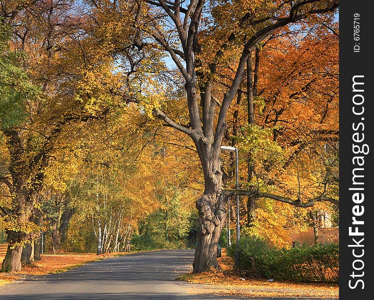 A picture of a beautiful road in autumn. A picture of a beautiful road in autumn
