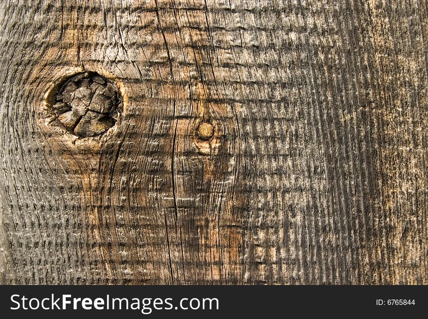 Old  Wood Texture.