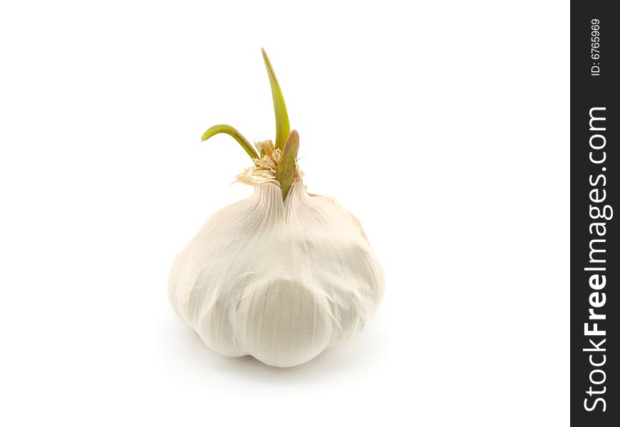 A close up on garlic.