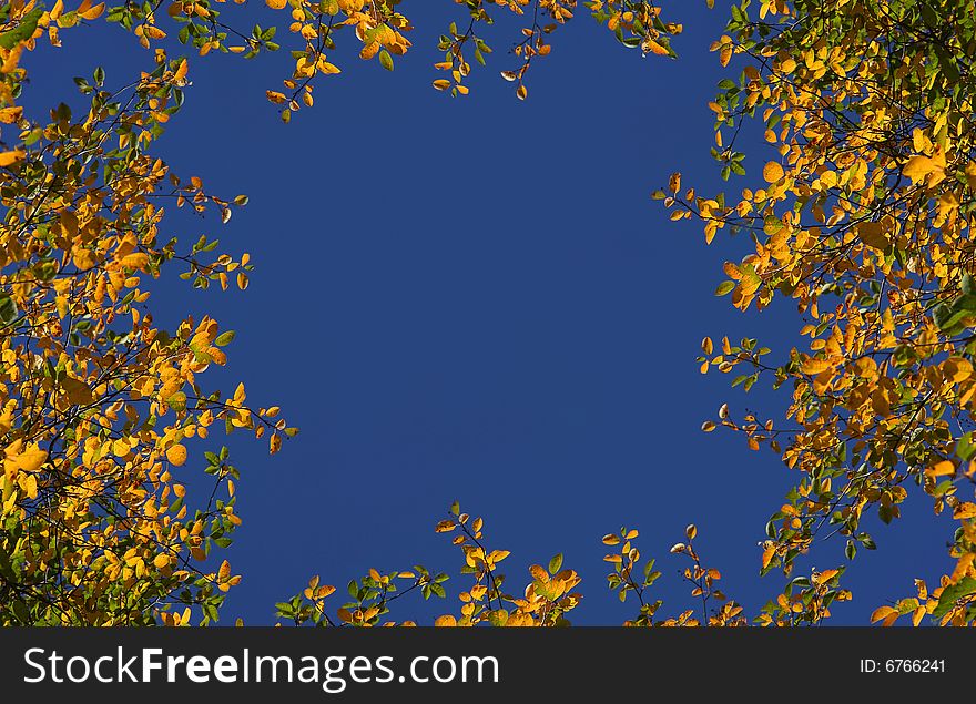 Autumn gold leaves frame on blue sky background. Autumn gold leaves frame on blue sky background