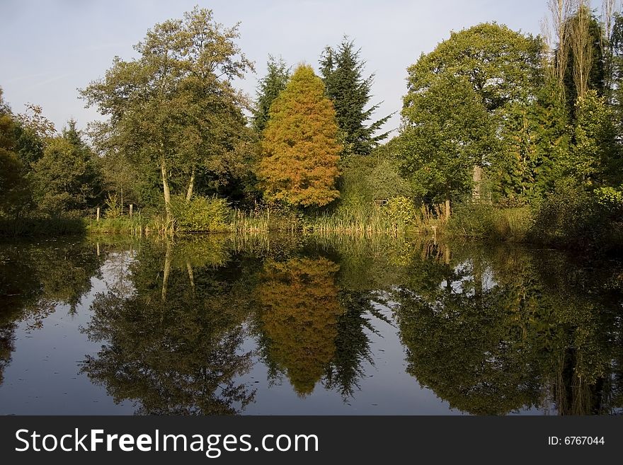 Reflections of autumn trees in a lake. Reflections of autumn trees in a lake