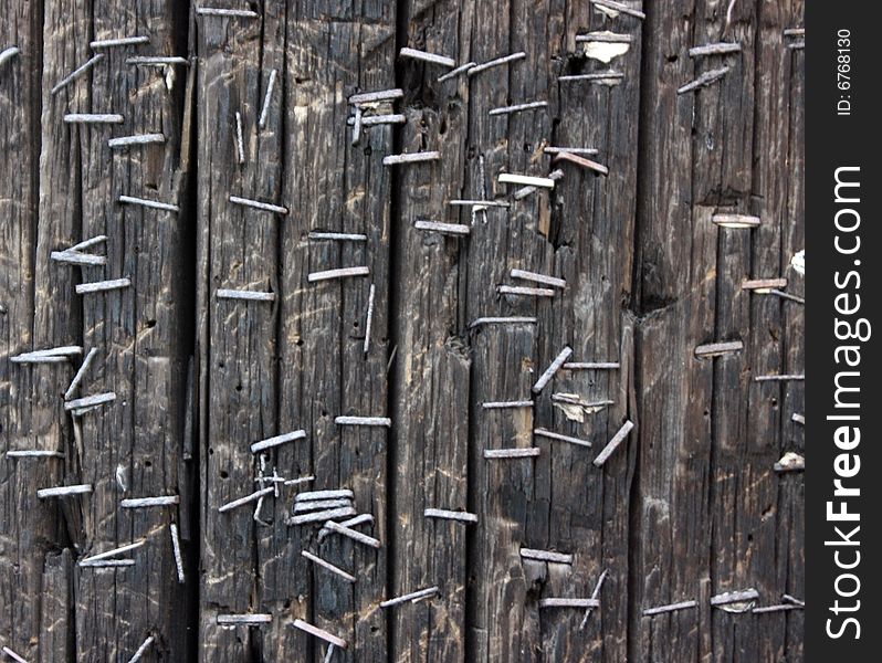 Texture of telephone pole with staples. Texture of telephone pole with staples