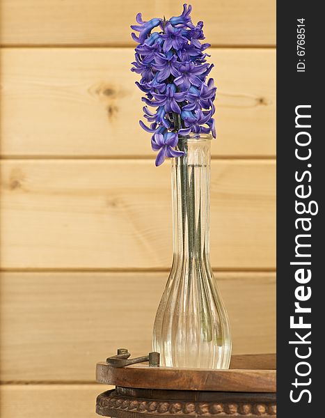 Delft blue hyacinth in a vase on an end table in front o a wooden wall