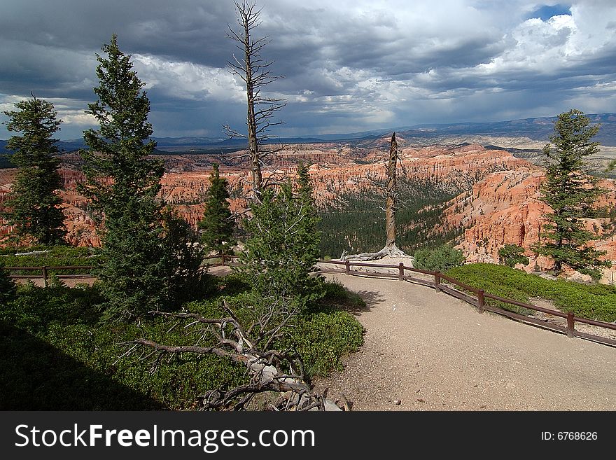 Amazing view of Bryce Canyon from a trail