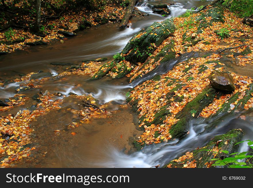 A small stream with beautiful golden leaves laying around during fall of the year. A small stream with beautiful golden leaves laying around during fall of the year.