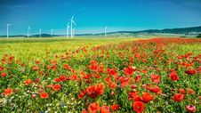 Windmills In The Poppy Field Royalty Free Stock Photo Windmills In The Poppy Field Royalty Free Stock Photo