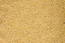 Background Of Yellow Millet Royalty Free Stock Images