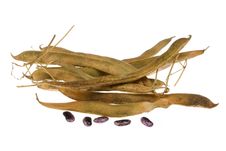 Green Bean. Royalty Free Stock Photo Green Bean. Royalty Free Stock Photo