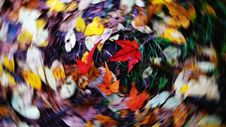 Rotating Fall Royalty Free Stock Photo Rotating Fall Royalty Free Stock Photo