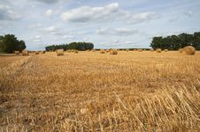 Hay Bales Royalty Free Stock Photo Hay Bales Royalty Free Stock Photo