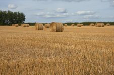 Hay Bales Royalty Free Stock Image Hay Bales Royalty Free Stock Image