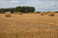 Hay Bales Royalty Free Stock Photography Hay Bales Royalty Free Stock Photography