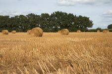 Hay Bales Royalty Free Stock Photography Hay Bales Royalty Free Stock Photography