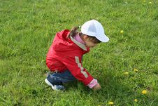 Little Girl In Red Coat Tear Flower Stock Photography Little Girl In Red Coat Tear Flower Stock Photography