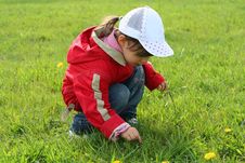 Little Girl In Red Coat Tear Flower Stock Photo Little Girl In Red Coat Tear Flower Stock Photo