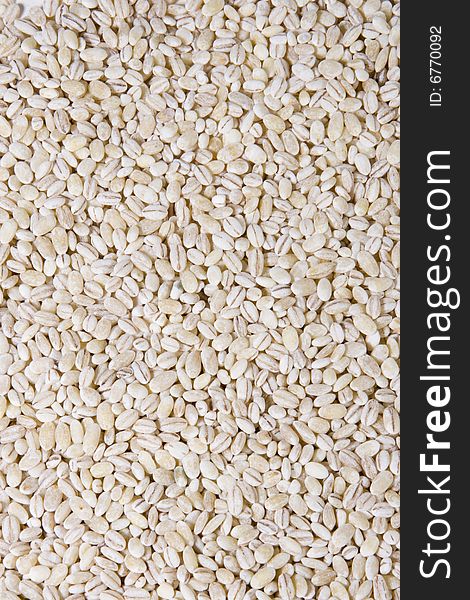 Background of pearl barley. close up