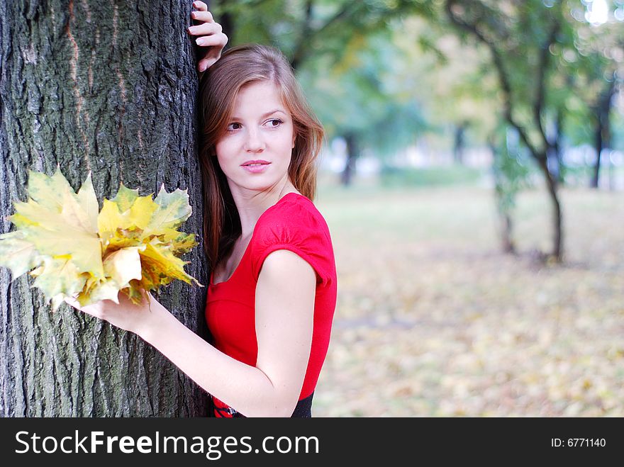 Young beautiful woman in red with yellow maple leaves. Young beautiful woman in red with yellow maple leaves