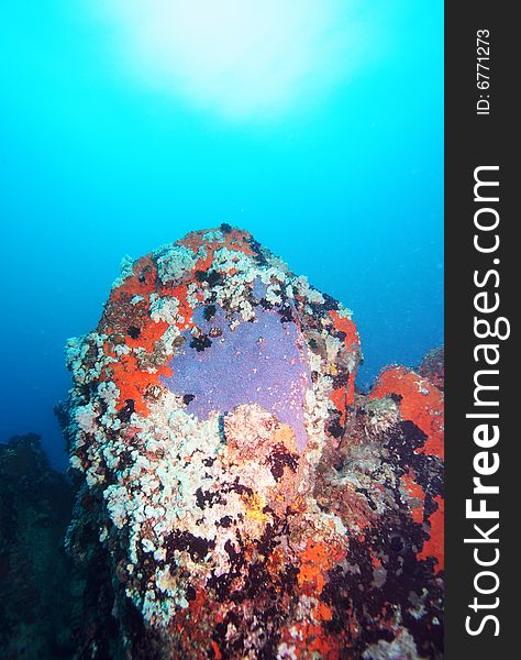 Colorful underwater rock formation in the Indian Ocean